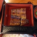 Unagi Senryou - 