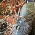 さかなや 魚清 - 