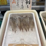 八食センター - ヤリイカ