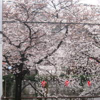 unito - 