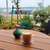PORTLANDS cafe - ドリンク写真: