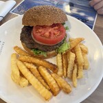 ヨコスカシェル - 