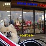 DOG DEPT.+CAFE Karuizawapurinsuten - 目的地に到着♪