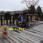 DOG DEPT.+CAFE Karuizawapurinsuten - テラス席♨