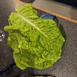 焼肉 はやしや - 