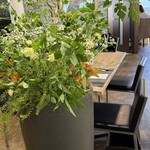 Bacchanalia - 