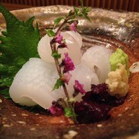 剣先イカの造り