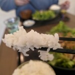 しょうが焼き 花緑青 - 