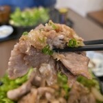しょうが焼き 花緑青 - 