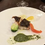 アデニア - 