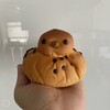 井ノ口珈琲焙煎所 ASTY岐阜店