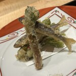 日本料理 徳専 - 