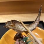 日本料理 徳専 - 
