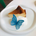 11 elf 11 - 