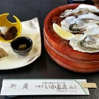 いかだ荘 山上 - 