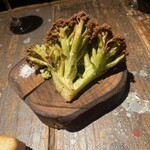 WE ARE THE FARM - 