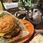 コナズ珈琲 - 料理写真: