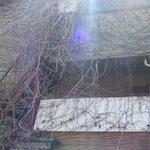 スパイスカフェ - 