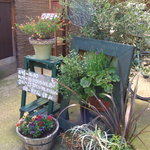 スパイスカフェ - 