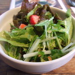 スパイスカフェ - ランチサラダ
