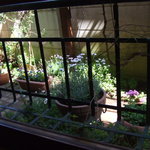 スパイスカフェ - 窓からの景色