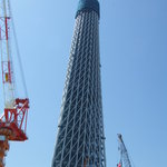 スパイスカフェ - 建設中のスカイツリー