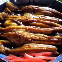 富津市名物を目指す はかりめ丼 900円をいただきました By にょろ55 天鈴 大貫 そば 食べログ