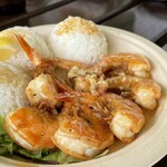 ハリーズ シュリンプ トラック - 