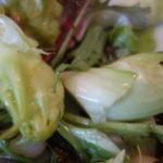 VIA Brianza - 春野菜！