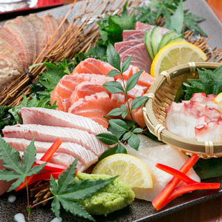 季節料理 新大阪 きらく_1