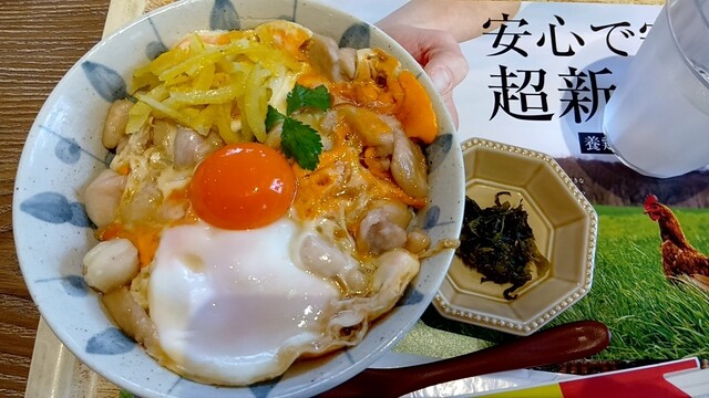 Tori to Tamago no Senmonten EggFarm Toritama Oojana ten - Urasoe