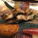 井雪 - 2015.3 再訪、初物の稚鮎@琵琶湖