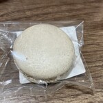 タダシ ヤナギ - 