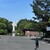 balder coffee hattoriryokuchi - その他写真: