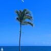 Seahorse Club - テラスから、真っ青な「夏空」プールサイドの椰子の木の上に、多分渡口の浜から飛んだパラグライダーが気持ちよさそうに飛んできました。