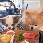 肉菜工房うしすけ - 