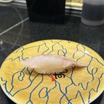 廻る富山湾 すし玉 - 