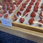 天山 - 