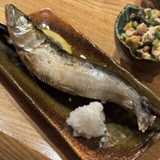 酒場日々_1