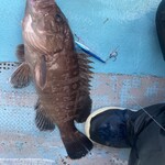 お食事処 インパクト - 料理写真: