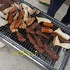岡田食品