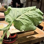 WE ARE THE FARM - 
