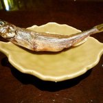 銀の雪 - ライターで炙ると旨い「ししゃも」