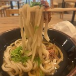 然の膳うどん - 料理写真: