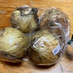 REALTA - 新玉葱（4個、100円）