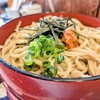手打そば 越峠 - 料理写真:出雲そば名物割子そば ¥900