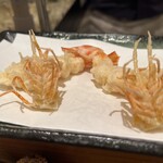 浜町かねこ - 天ぷら盛り合わせ 才巻海老