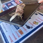 小樽茶屋 里
