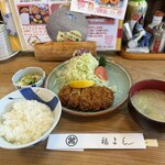 福よし - 料理写真:■ひれかつ定食M判(140g)¥1,740