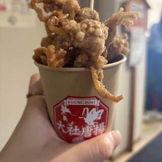 大社からあげ 光海どり_0